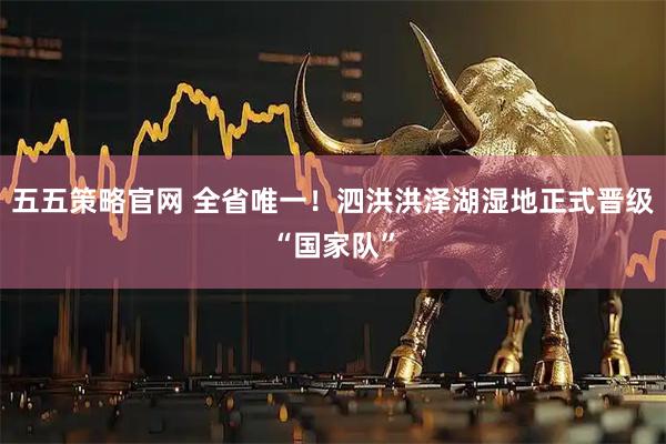 五五策略官网 全省唯一！泗洪洪泽湖湿地正式晋级“国家队”