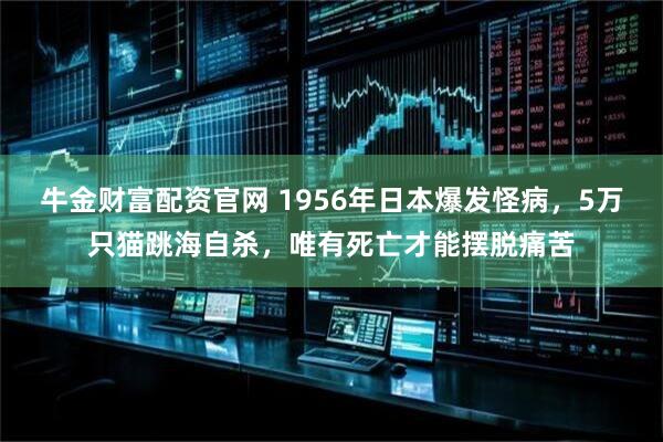 牛金财富配资官网 1956年日本爆发怪病，5万只猫跳海自杀，唯有死亡才能摆脱痛苦