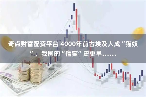 奇点财富配资平台 4000年前古埃及人成“猫奴”，我国的“撸猫”史更早……
